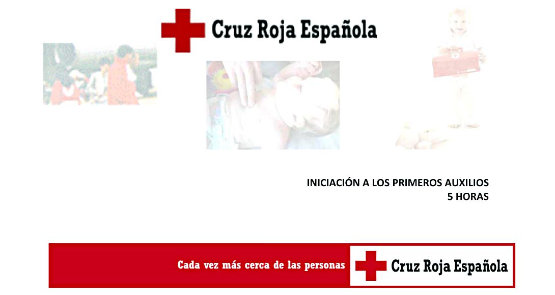 Curso de primeros auxilios Cruz Roja. 22 noviembre 2014