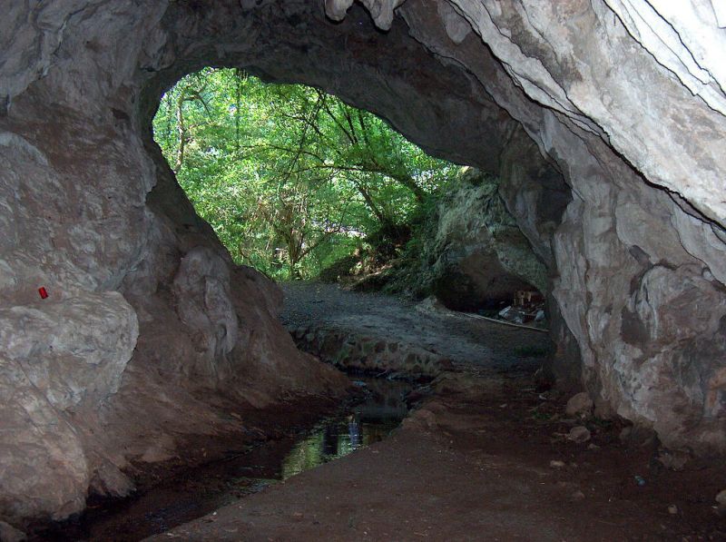 Cueva de San Pedrín, Narzana