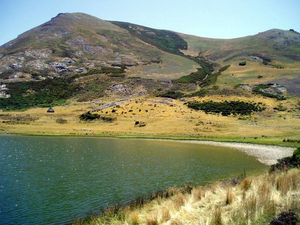 Lago de Isoba con el Pico Runción y Niales
