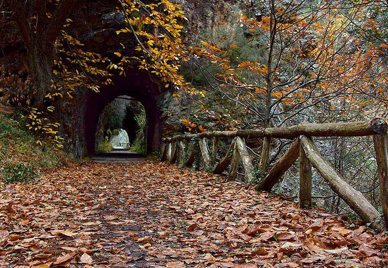 Senda del Oso en otoño::Entre túneles y frondosos bosques