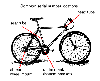 Common serial number locations
