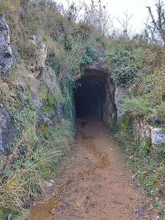Tunel en la Vía Verde de Pelurgo