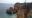 P_20170413_151433_vHDR_On_2017-04-18.jpg