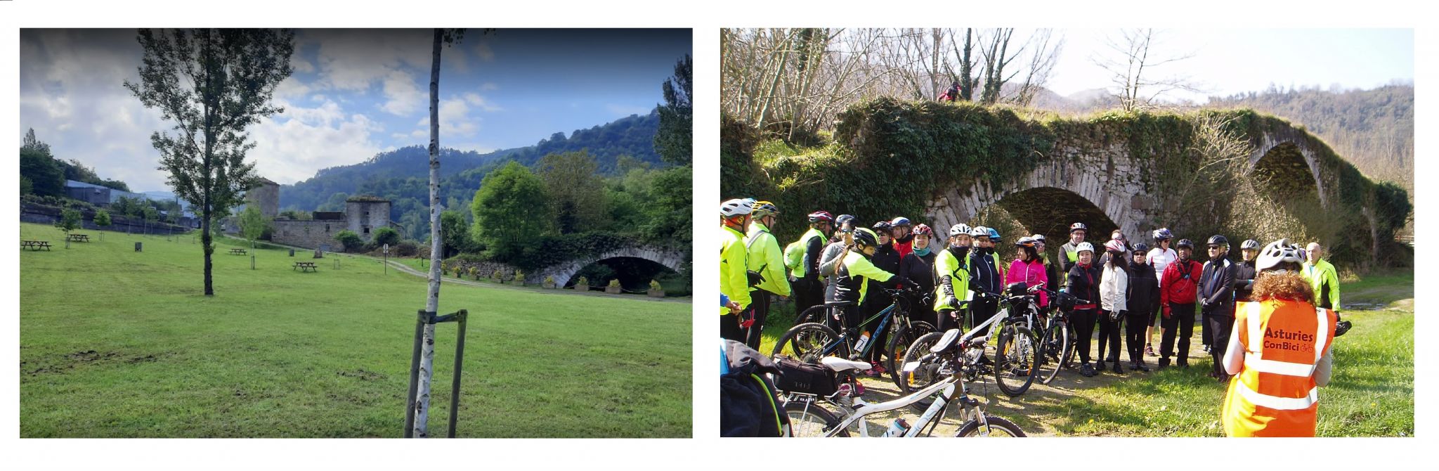 Olloniegounidas.jpg Olloniegounidas.jpg