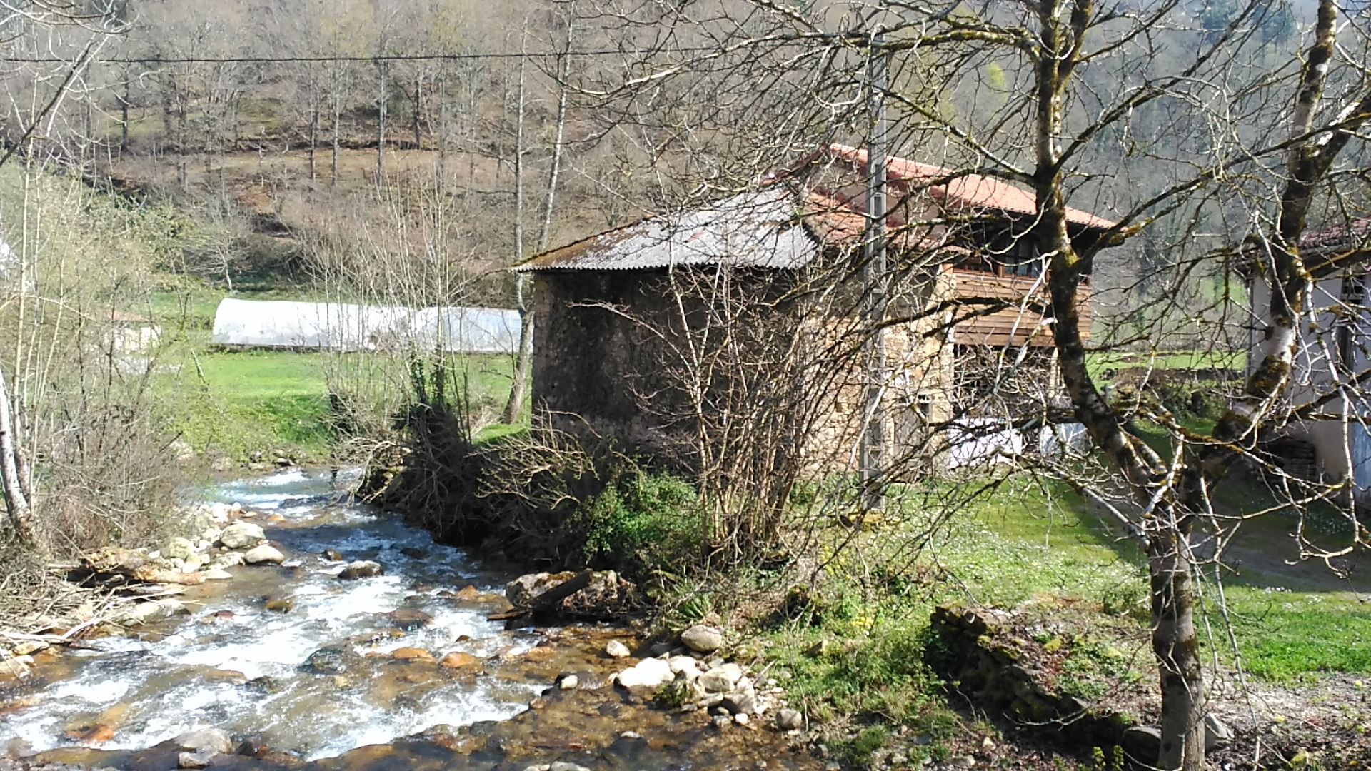 IMG_20160324_141848.jpg IMG_20160324_141848.jpg