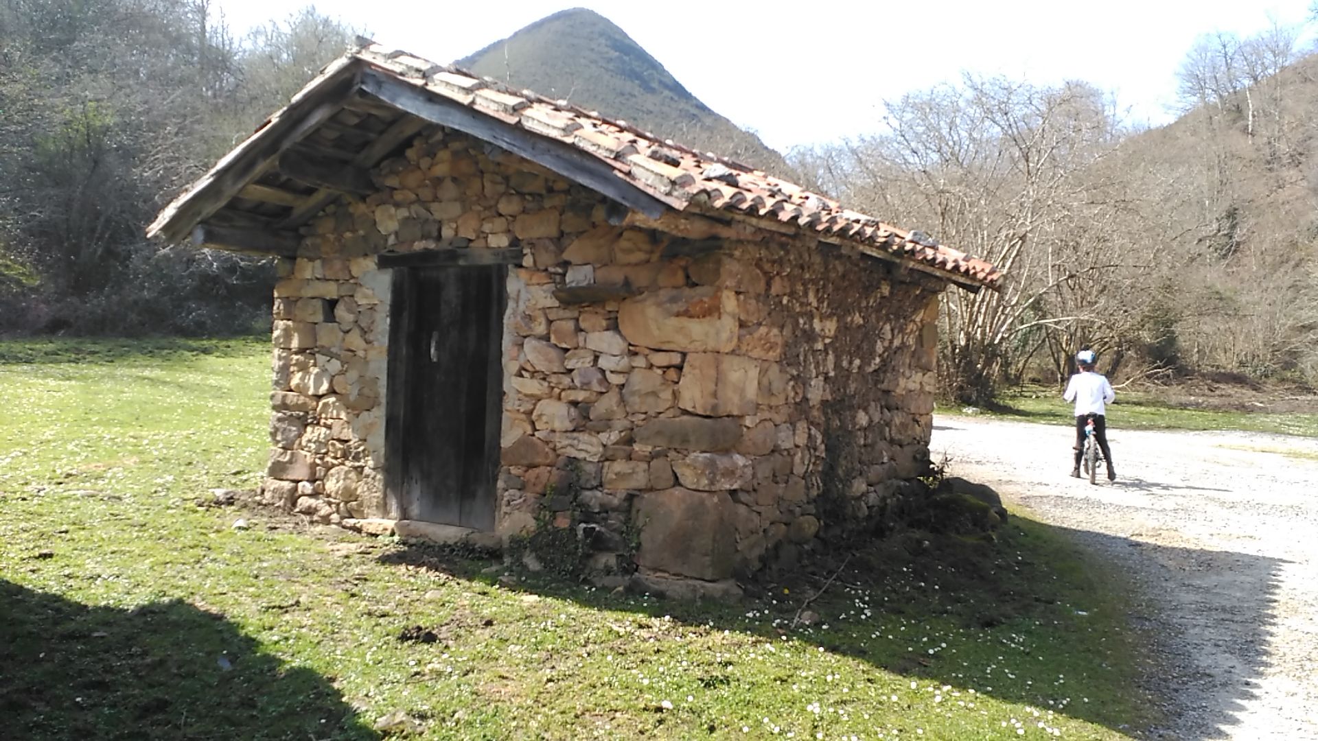 IMG_20160324_144726.jpg IMG_20160324_144726.jpg