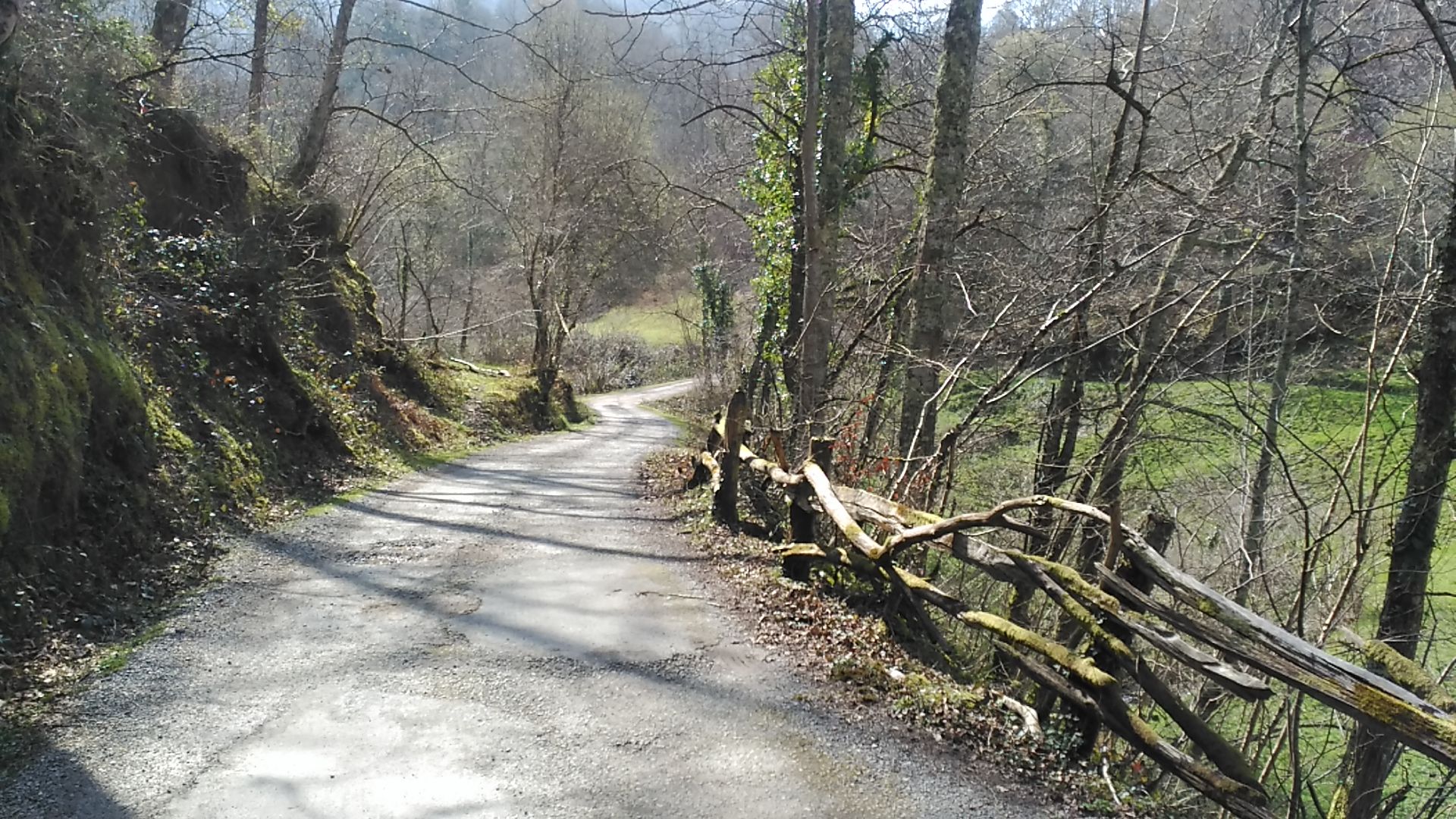 IMG_20160324_145029.jpg IMG_20160324_145029.jpg