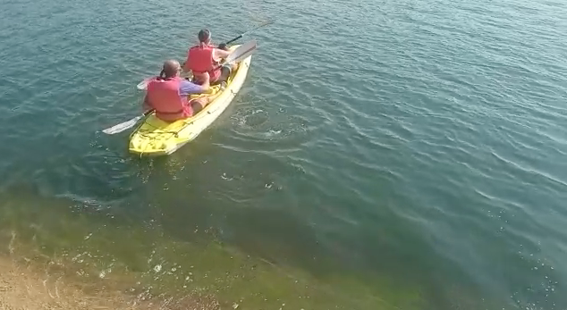 Capturadepantalla2022-08-14alas19.41.43.png Capturadepantalla2022-08-14alas19.41.43.png