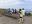 ImagendeWhatsApp2025-07-13alas21.55.23_7ade186d.jpg