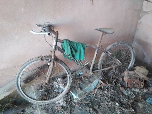 IMG_20190101_122808_822.jpg IMG_20190101_122808_822.jpg